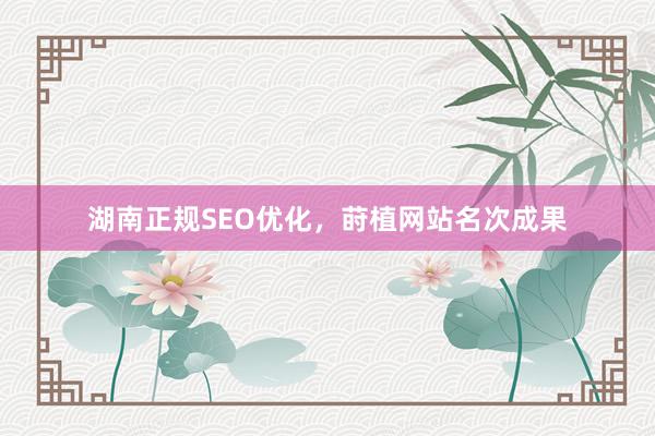 湖南正规SEO优化，莳植网站名次成果